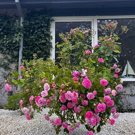 Appart hôtel Molle 3*