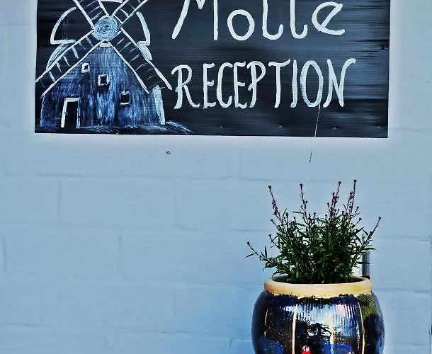 Lägenhetshotell Molle