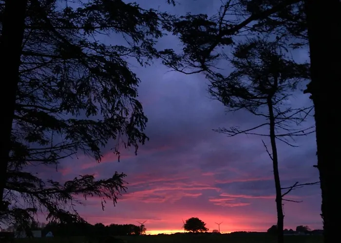 Lägenhetshotell Molle 3*