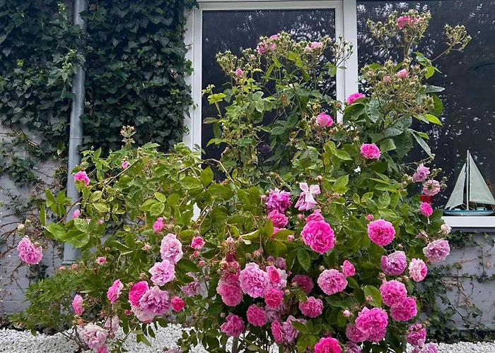 Lägenhetshotell Molle 3*